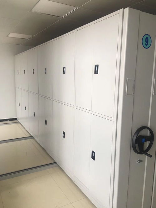 尚村密集架書架生產廠家漬痕